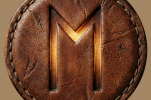 Placka "Ehwaz" Runa Partnerství (Leather Edice)